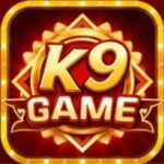 K9 apk